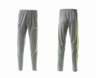 Bayern Munich F50 gray Training Closed leg trousers