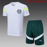 2023-2024 Palmeiras white green soccer Training clothes D805