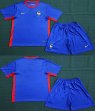 2023-2024 France team blue soccer jerseys -ZR