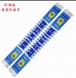 2018 World Cup Argentina Scarf -blue