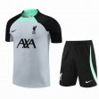 2023 Liverpool club gray black Training soccer jerseys