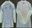 2024-2025 Mexico Team thailand version gray Long sleeves soccer jerseys away