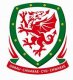 Wales club
