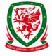 Wales National Team Jerseys