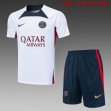 2023-2024 Paris Saint-Germain club white blue soccer Training clothes D917