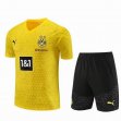 2023 Dortmund club yellow black Training soccer jerseys