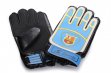 Barcelona Goalkeeper Gloves