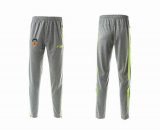 Valencia F50 gray Training Closed leg trousers