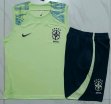 2023-2024 Brazil team light green blue soccer vest uniforms D890