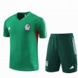 2023 Mexico team green Training soccer jerseys