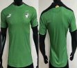 2024-2025 Ivory Coast team thailand version green soccer jerseys