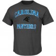 Professional customized Carolina Panthers T-Shirts gray