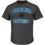 Professional customized Carolina Panthers T-Shirts gray