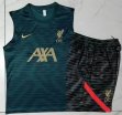 2023-2024 Liverpool green gray soccer vest uniforms D902