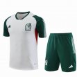 2023 Mexico team white green Training soccer jerseys