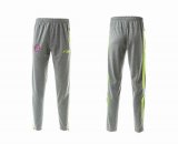 Bayern Munich F50 gray Training Closed leg trousers