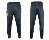 2016 portugal gray Training Pant