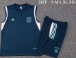 2023-2024 Ajax blue soccer vest uniforms D885