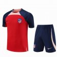 2023 Atletico Madrid club red blue Training soccer jerseys
