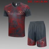 2023-2024 Manchester city club red gray soccer Training clothes D918