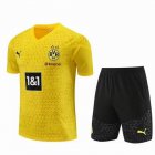 2023 Dortmund club yellow black Training soccer jerseys