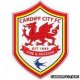 Cardiff City Club