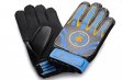Inter Milan Goalkeeper Gloves